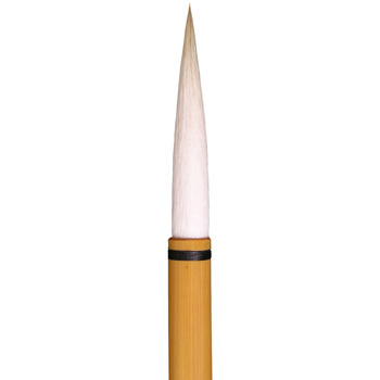 25