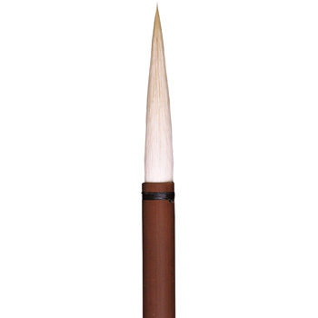 31